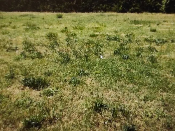 Terrain 1103 m²