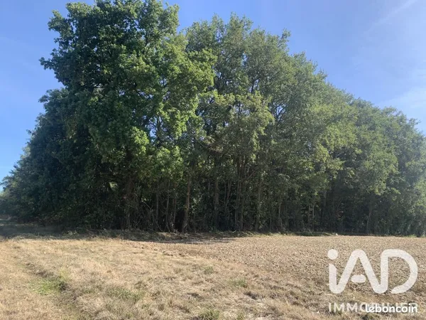 Terrain 33331 m² BAUDRES