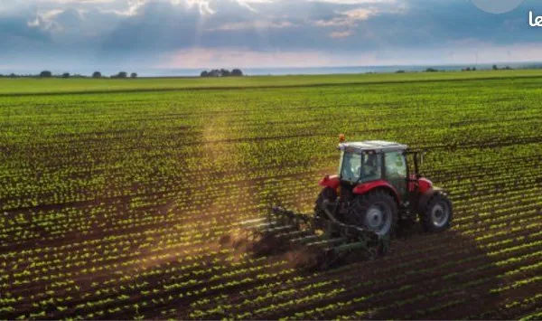 Terrain agricole, hangar et bâtiments en pierre