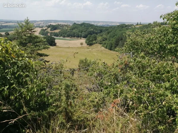 Terrain 110000 m² Saint-Paul-Lizonne