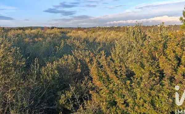 Terrain 5940 m²