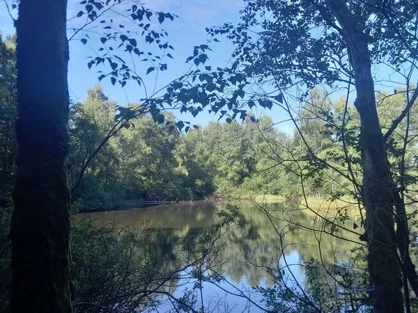 Amis agriculteurs je suis a la recherche d'un plan d'eau pour l'usage de la pêche lac étang graviers