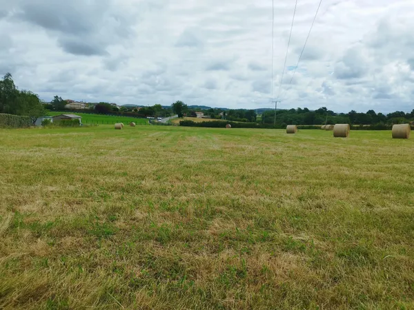 EXCLUSIVITÉ – TERRAIN À BÂTIR DE 1 205 M² – SAINT-GAUDENS