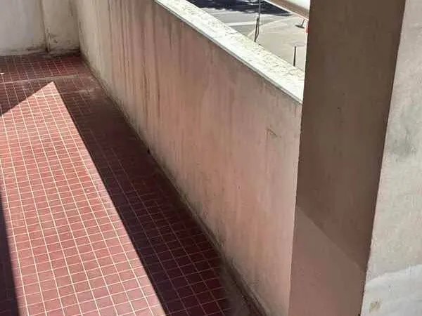 Appartement 2 pièces 54 m²