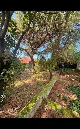 Terrain à bâtir 354 m²