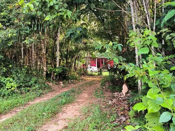 Location carbet