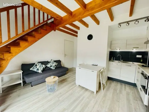 Magnifique Duplex meublé