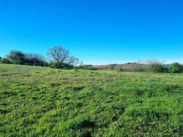 Terrain en individuel 984 m²
