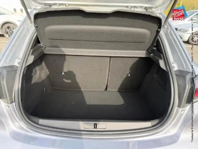 Peugeot 208 1.5 bluehdi 100ch s/s active carplay — photo 29