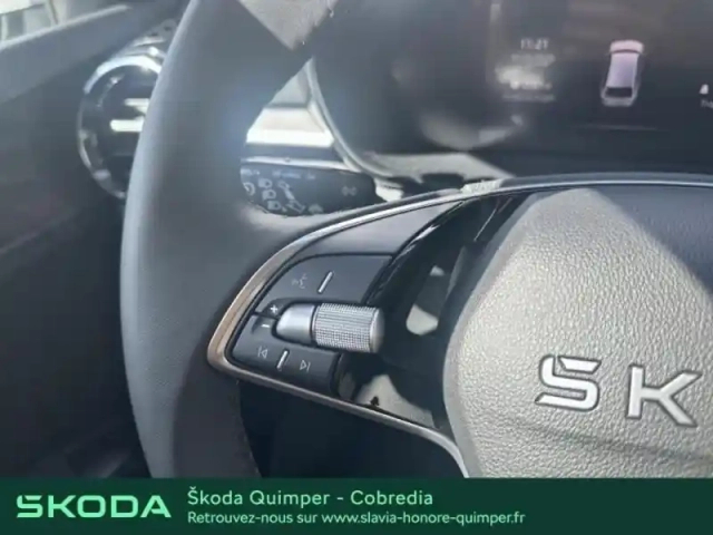Skoda Fabia 1.0 tsi evo2 116ch clever edition dsg7 — photo 14