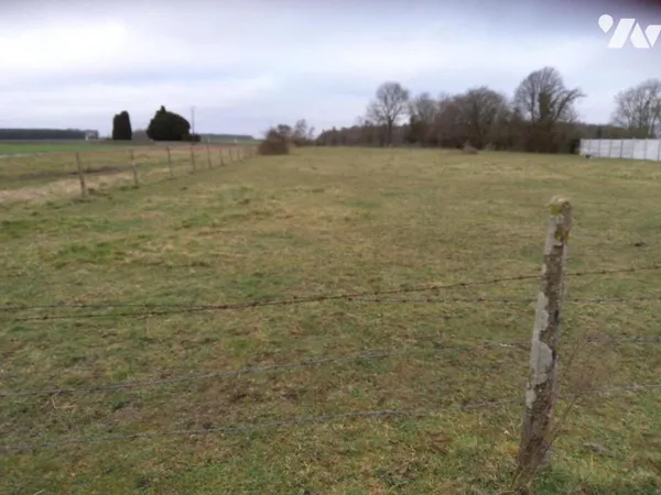 Terrain 980 m²