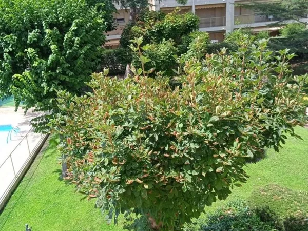 Chambre meublée Salle d'eau privative, terasse 10 M2