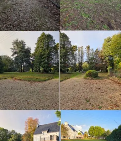 Maison rénovée de 120 m² avec terrain de 3 500 m²