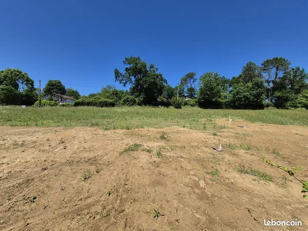 Joli Terrain
