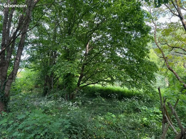 Terrain 720 m² Saumur