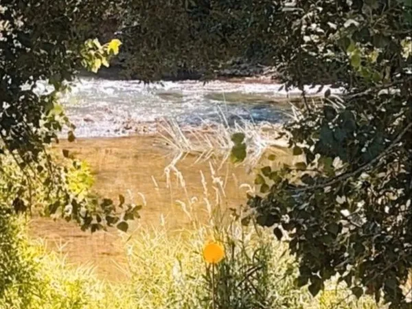Terrain de Loisirs, Coups de Pêche, Terrain