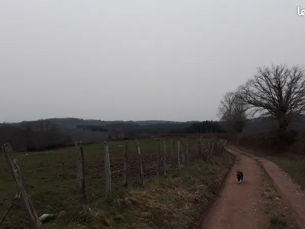 Prairie proche de Pourrain