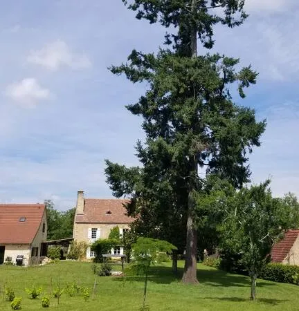 Maison 8 pièces 340 m²