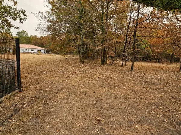 Terrain de 2 300 m² à SAUGNAC ET MURET