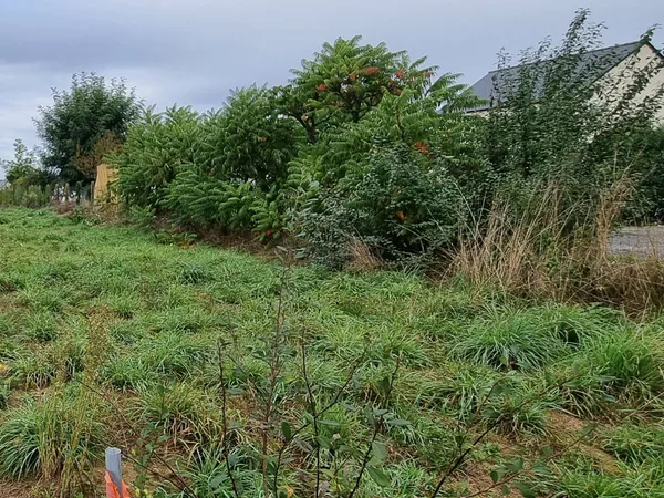 Terrain 134 m²