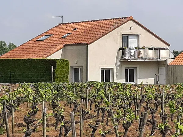 Appartement 3 pièces 50 m²
