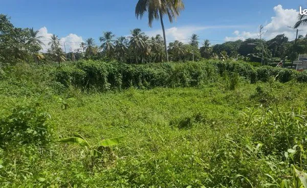 Terrain PETIT-BOURG - TERRAIN CONSTRUCTIBLE 850 M² -