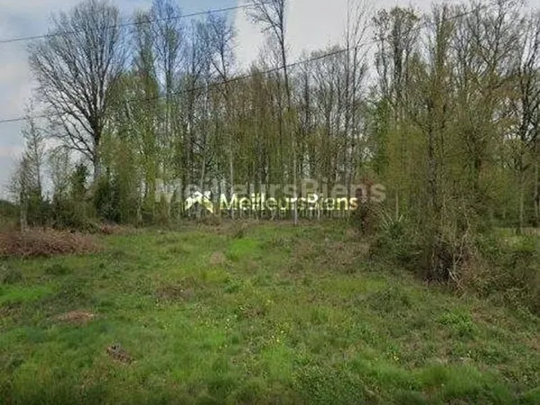 COURTENAY (45320) - DOMAINE STE ANNE - TERRAIN 2376 M² - VIABILISE ET CONSTRUCTIBLE - SEMI-BOISE -