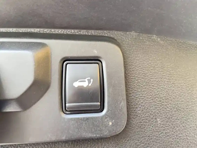 Renault Austral mild hybrid 160 auto — photo 14