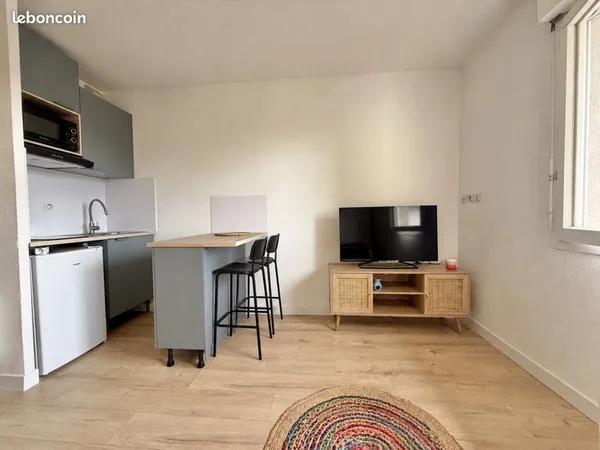 Appartement T1 neuf à louer