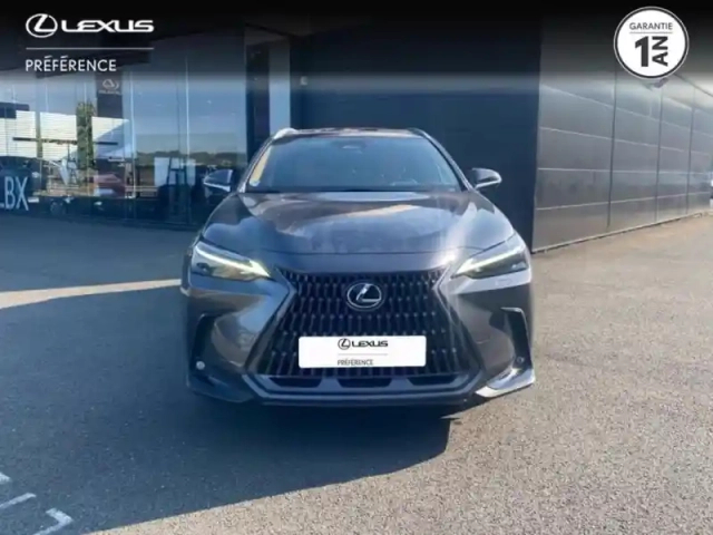 Lexus Nx 450h+ executive 4wd — photo 5