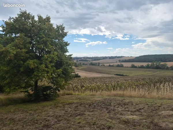 Terrain a vendre - dremil-lafage
