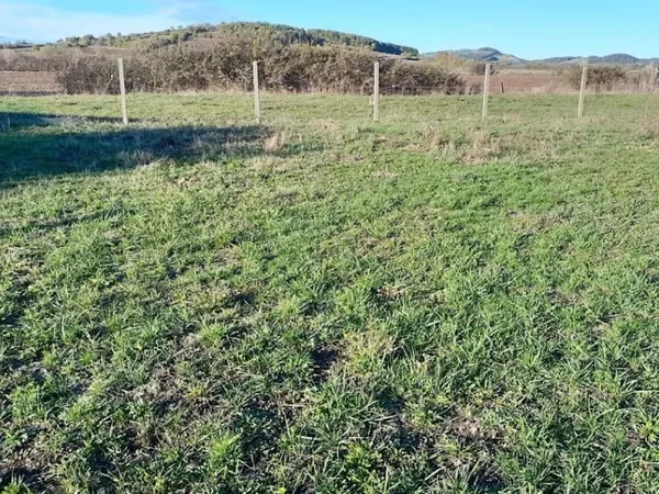 Terrain 1000 m²