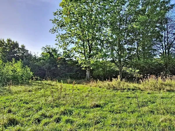 Terrain Nozay 534 m²