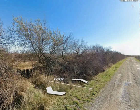 Location terrain pour chevaux ou autre