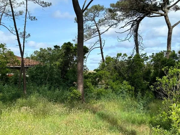 Terrain 450 m²