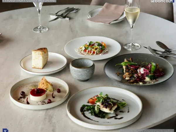 Bar, restaurant 255 m² SAINT SELVE