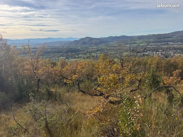 Terrain boisé de 2,5 hectares - Roquefort-sur-Garonne - 17 000 euros