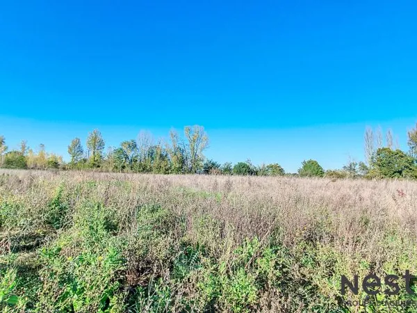 A Vendre Terrain Plat de 4400 m² vue imprenable sur les Pyrénées Environnement Campagne Secteur Caze