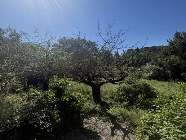Propriété 5 pièces 140 m²