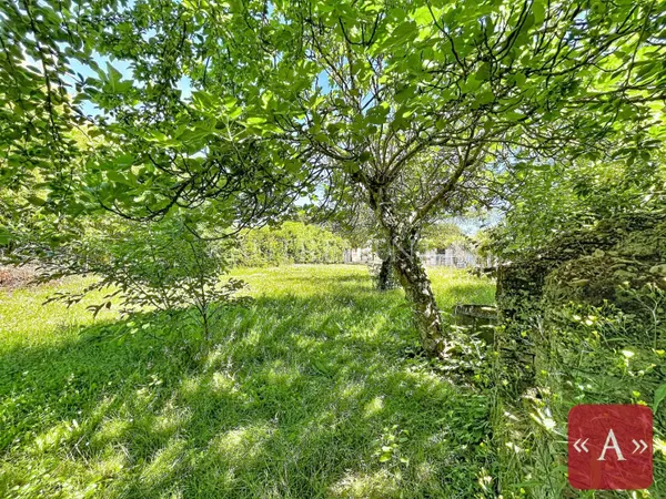 Terrain 465 m²