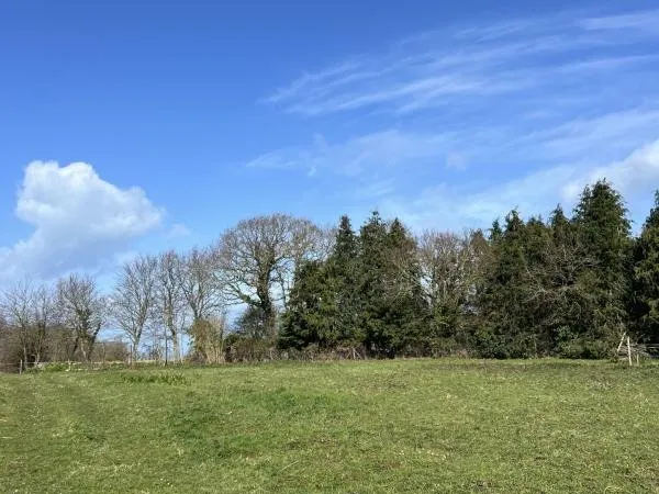 Vends terrain à bâtir