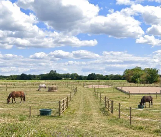 Location de paddock