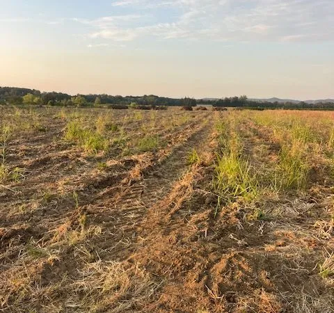 Terrain Agricole