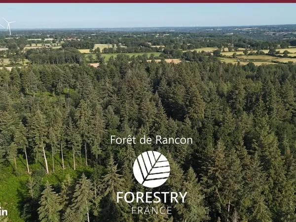 Propriété forestière de 135 ha avec étang - haute-vienne (87)