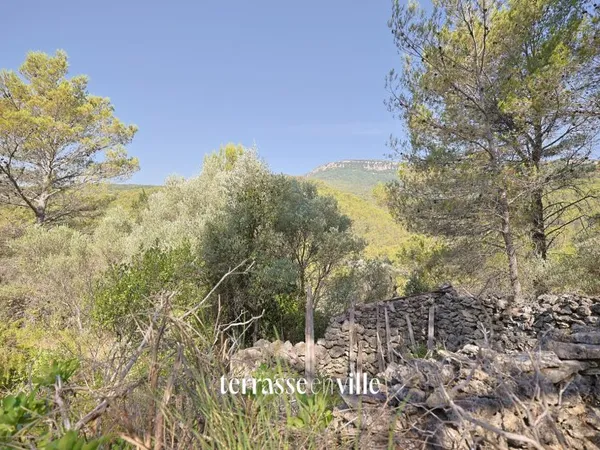 Terrain 2,3HA - Bastidon de 17M2