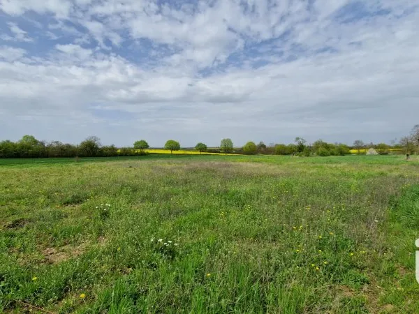 Terrain 2395 m²