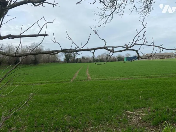Terrain 20000 m²