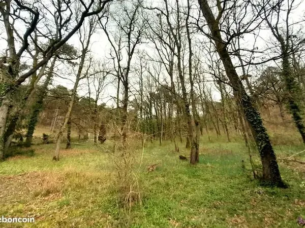 de terrain de loisirs