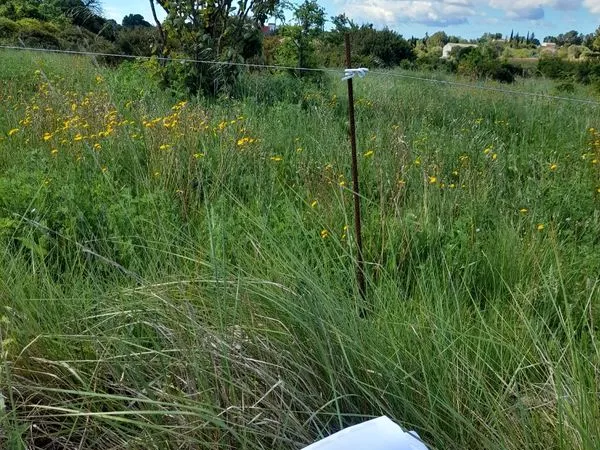 Terrain agricole