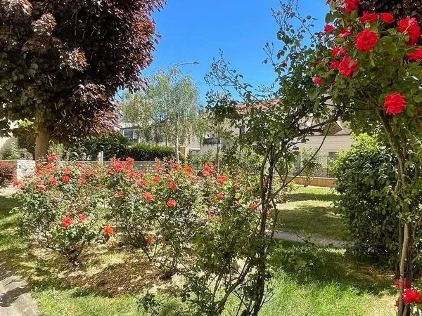 Appartement 2 pièces 55 m²